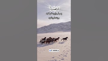 سوره انعام/آیات ۱۰۲ ترجمه فارسی| #قران #ترجمه_فارسی #learn