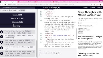Learn Applied Accessibility  Wrap Radio Buttons in a fieldset Element for Better Accessibility   fre