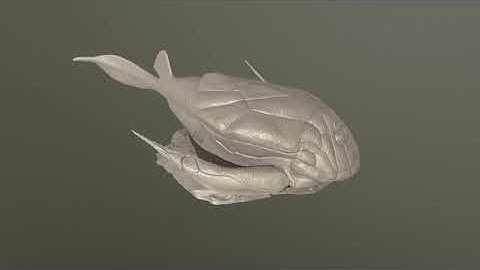 Bothriolepsis 3D print model