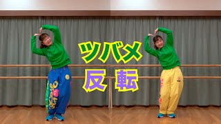 【ツバメダンス】反転フル （親ツバメ＋子ツバメ） YOASOBI with ミドリーズ 「ひろがれ！いろとりどり」テーマソング｜未来へ17アクション | SDGs | NHK・Eテレ｜みんなのうた