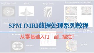 SPM fMRI数据预处理04: Slice Timing