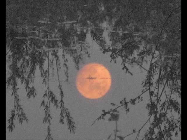 Elzbieta Adamiak - Milcząca nadzieja