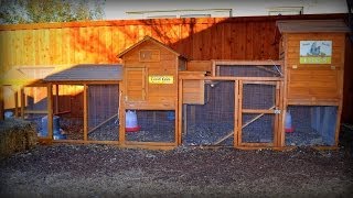 See our improved, enlarged & expanded chicken coop for our additional hens, bringing the total of 9 hens in our backyard. Our 