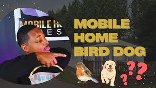 Be a Mobile Home Bird Dog: Start Earning Now!| Ep 7