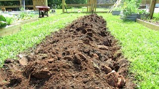 How to Dig Your First Earth Bed Vegetable Garden & A Cherry Tomato Hedge: All the Steps in Detail!