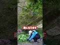 マキタ ウルトラメタルローラー4