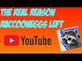 Why RaccoonEggs isn&#39;t Uploading (REAL REASON)