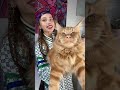 Виталя кабан😂 #рекомендации #youtubeshorts #животные #foryou #питомец #кот #котики #симба