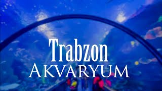 Trabzon Akvaryum - أكواريوم طرابزون