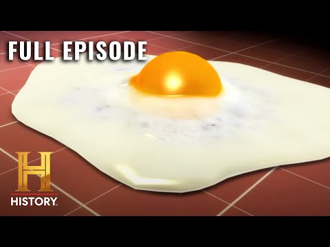 Chicken to Omelette: Journey of an Egg | Modern Marvels (S15, E3) | Full Episode