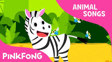 Zebra Cadabra | Zebra | Animal Songs | Pinkfong Songs for Children
