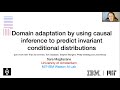 Sara Magliacane: Domain adaptation by using causal inference