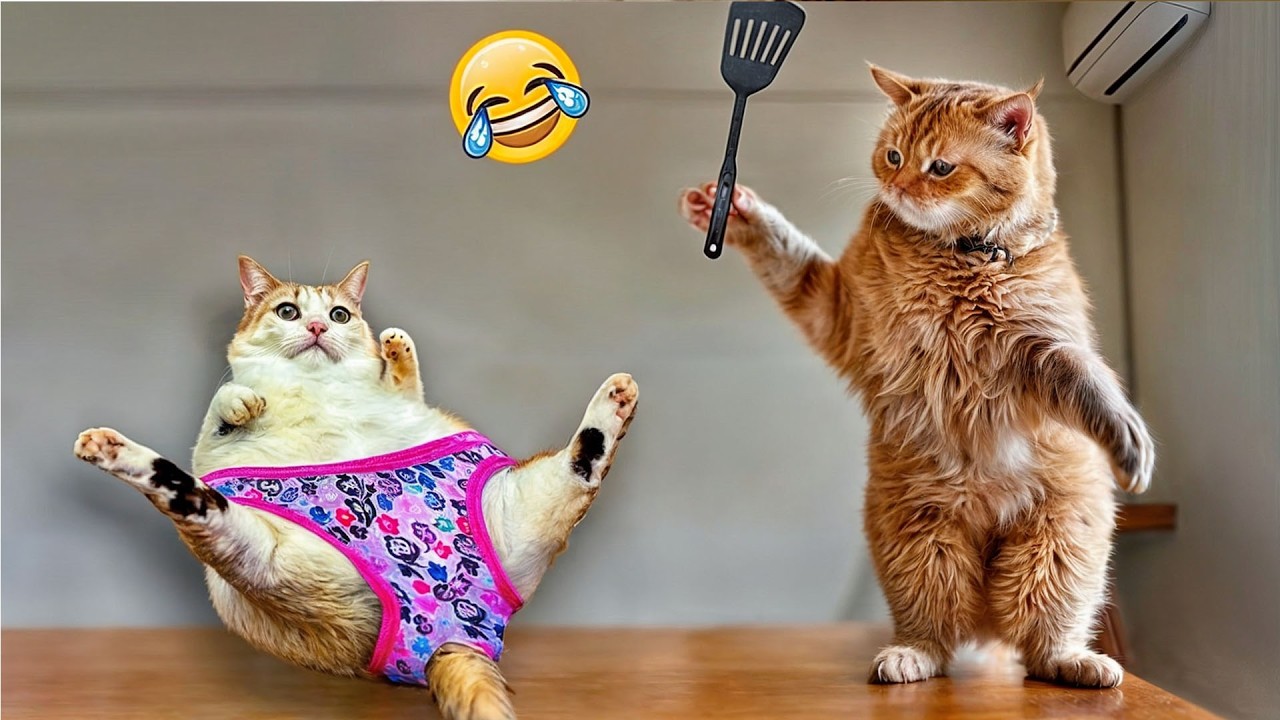 Try Not To Laugh 🎸 Funniest Cats & Dogs 🥁 Funny Pets Compilation 2026
