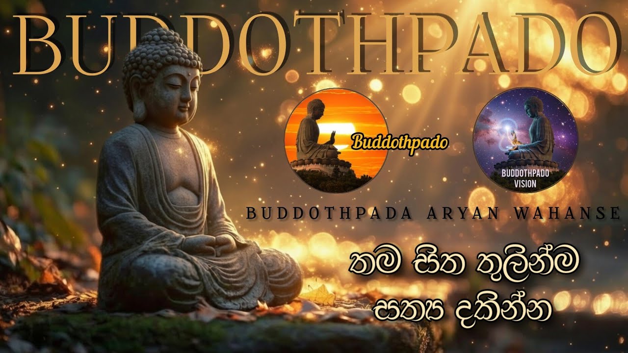 තම සිත තුළින්ම සත්‍යය දකින්න 🪷