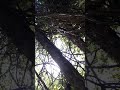 Национальный парк Кауиты
