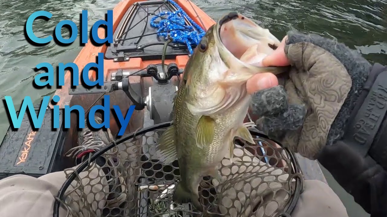 Lake Norman Winter Bass Fishing Blythe
