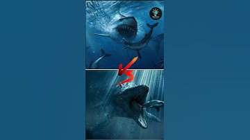 Megalodon vs. Mosasaurus: Who Would Win?