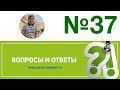 Вопросы и ответы, №37