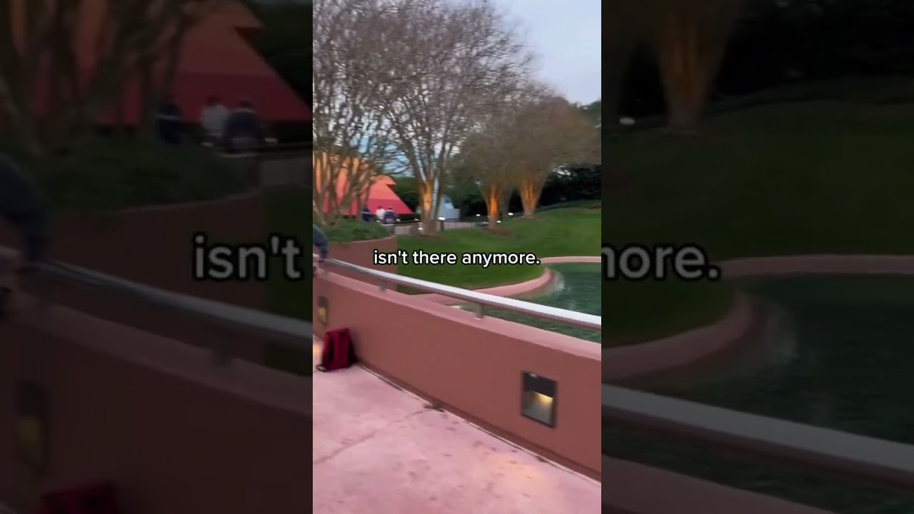 What I overheard in Disney that made me laugh 