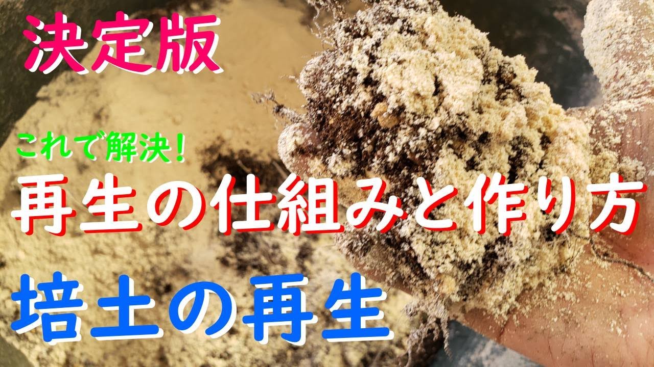 （決定版）培土再生の作り方と仕組みがこれ！