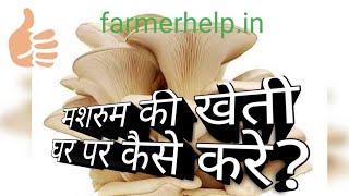 Mushroom Farming: Oyster mushroom की खेती कैसे करे मेरी training के समय की वीडियो