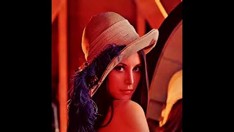 Lena: A Fourier decomposition based on hypercomplex transforms.