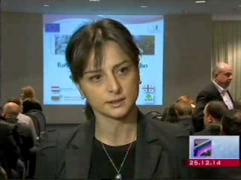 MOE: ჯარიმები გარემოს დაბინძურებაზე