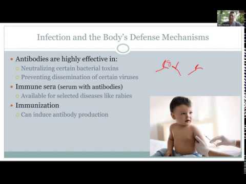 Video: A Swab From The Nose And Throat For Staphylococci, Eosinophils, Microflora: Decoding