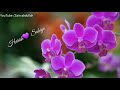 💛Harish 💛Love 💛Sabiya💛 Name WhatsApp status Whatsapp Status Video Download Free