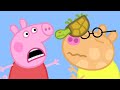 Peppa Pig Full Episodes | Doctors | Cartoons for Children