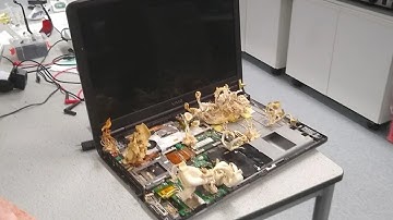 This Mushroom PC Sounds Like Something Out Of The Last Of Us