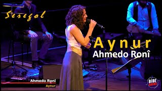 Aynur  | Ahmedo Ronî