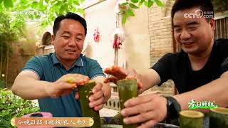 《共富经》 20250325 春日鲜机 高山藏春鲜 | 农业致富经 Agriculture And Farming
