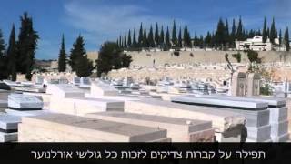 קברות צדיקים חדש