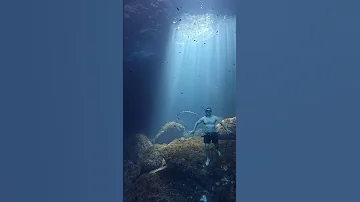 Freediver Blows Bubble Ring To Camera ViralHog 