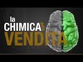 La chimica della vendita  icdv 52