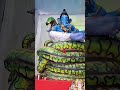 bholenath #Mahadev #shivling #shiv #Ganpati #bappa #ytshorts #viral #love #trending #2025