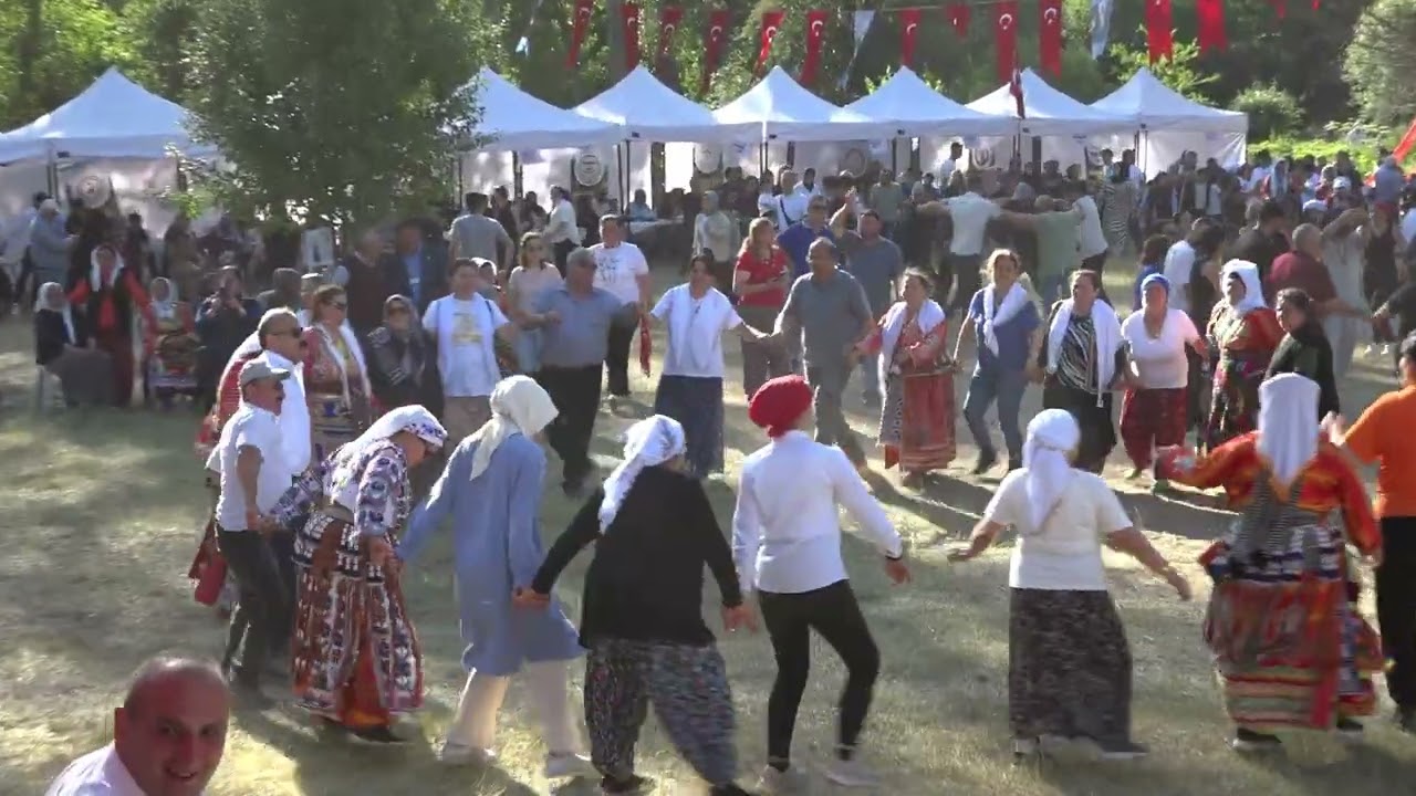 GÜLCİHAN KOÇ - HALAYLAR (TOZANLI FESTİVALİ - 19.06.2024)