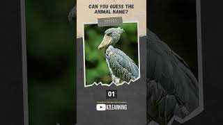 Guess the Animal Challenge #1 | Wildlife Trivia | Game to Learn Fun Facts about Animals screenshot 5