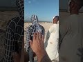 قفز الجوكر وسبايدر مان الاسود في المقبرة الفرعونية Spider Venom 