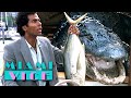 Tubbs Meets Crokett's Pet Alligator 'Elvis' | Miami Vice