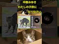 わたしの子供になりなさい(中島みゆき) #shorts 切抜 cover 歌詞付き Pokekaraで歌ってみた 「わたしの子供になりなさい」より