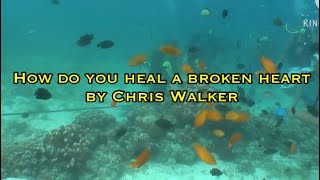 How do you Heal a Broken Heart by Chris Walker