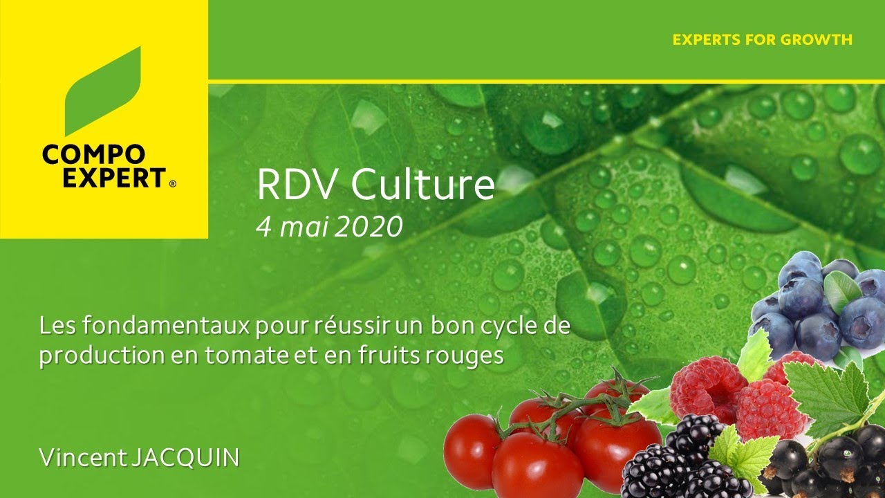 RDV culture_La fertilisation de la tomate et des fruits rouges