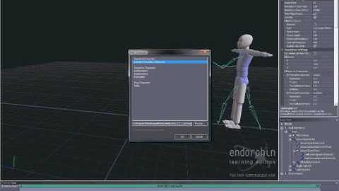 Endorphin tuto 9 Coup de pied