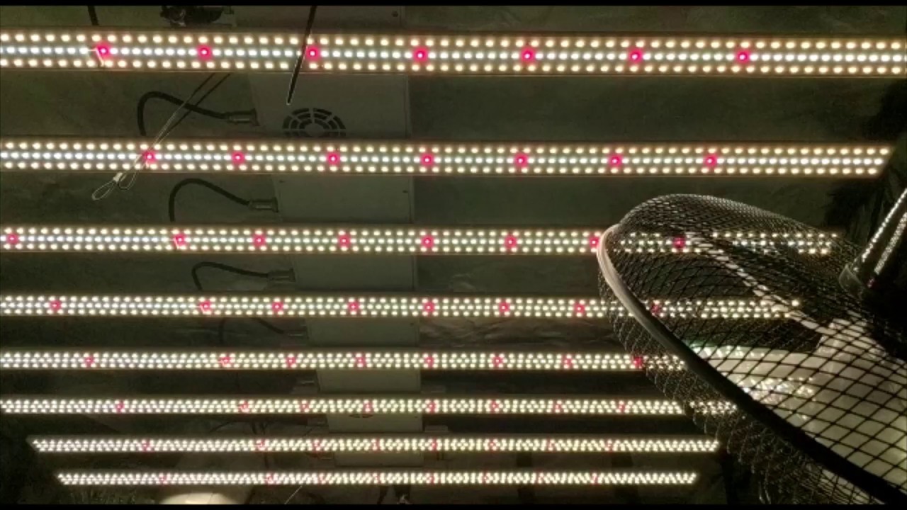 LED grow lights skysaber 640w - YouTube