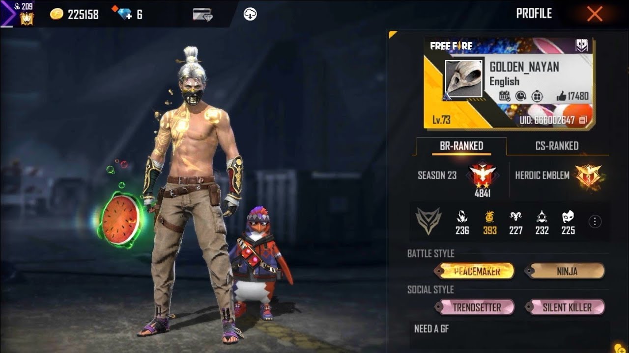 Golden shade bundle send me request