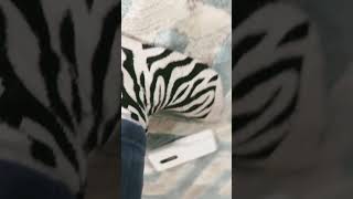 Oops, I Dropped My Phone