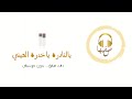 شيلة يالنادرة ياخدرة العيني بدون موسيقى 