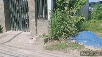 (mỹ lộc 1)đất đã bánĐất thổ cư xã Mỹ Lộc cần giuộc Long An, giá 1ty2